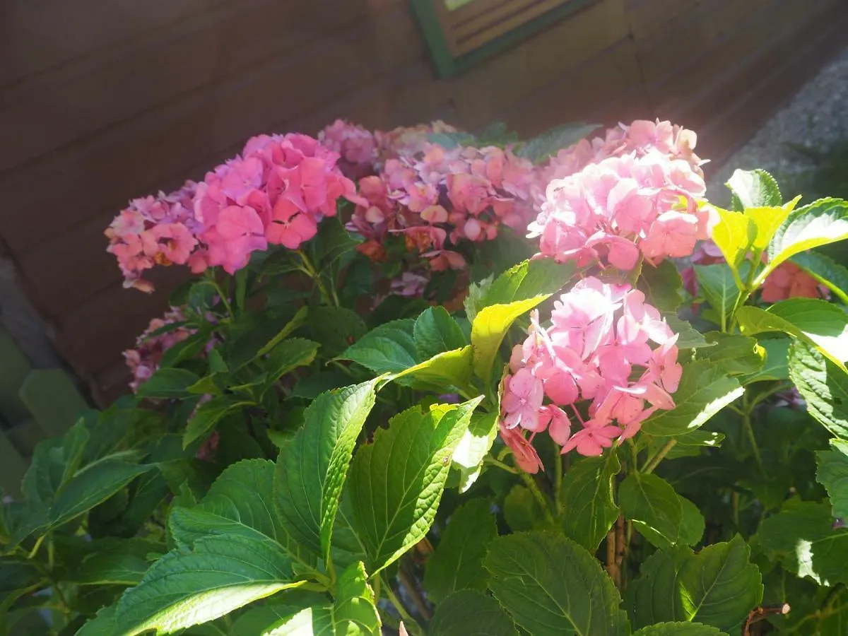 Ferienhuette In Ruhpolding Villa Holiday home